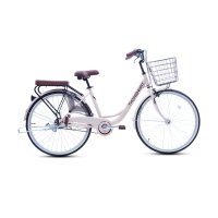Xe đạp đường phố Thống Nhất LD26- Bánh 26 Inches