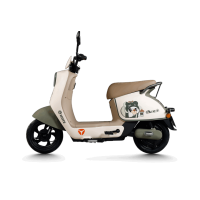 Xe điện Yadea ICute H