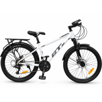 Xe đạp địa hình QT1405 - Bánh 24 Inches 