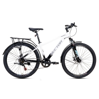 Xe đạp địa hình Hector Strong bánh 26 inches