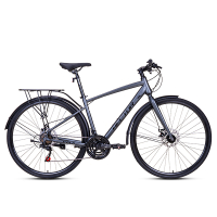 Xe đạp đường phố Hector Velo bánh 700C