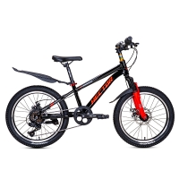 Xe đạp trẻ em Hector Rafa 2 bánh 20 