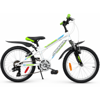 Xe đạp trẻ em Asama KZB2001 - Bánh 20 Inches