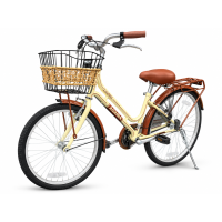 Xe đạp trẻ em Asama PU20 - Bánh 20 Inches