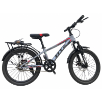 Xe đạp trẻ em QT120 bánh 20	