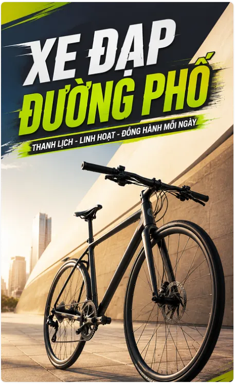 Xe Đạp Đường Phố