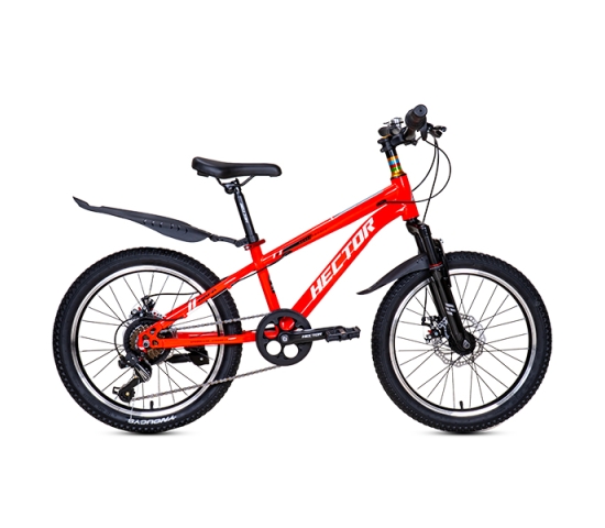 Xe đạp trẻ em Hector Rafa 2 bánh 20 