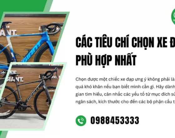 Các Tiêu Chí Chọn Xe Đạp Phù Hợp Nhất