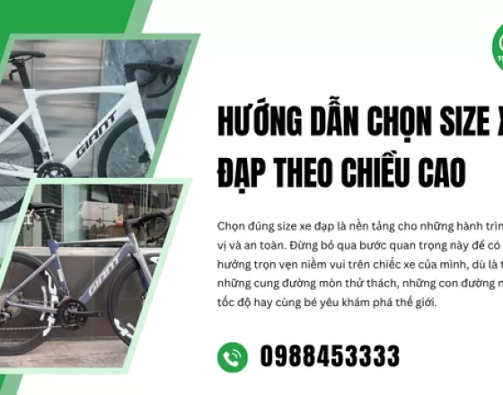 Hướng Dẫn Chọn Size Xe Đạp Theo Chiều Cao