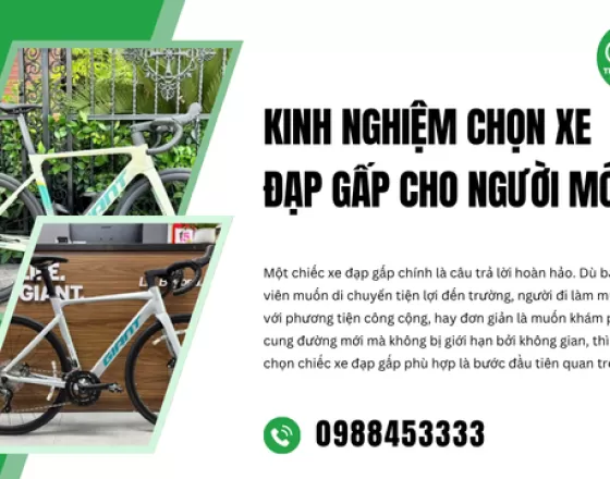 Kinh Nghiệm Chọn Xe Đạp Gấp Cho Người Mới