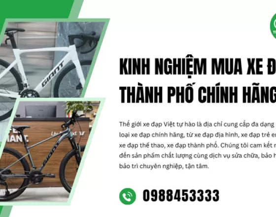 Kinh Nghiệm Mua Xe Đạp Thành Phố Chính Hãng
