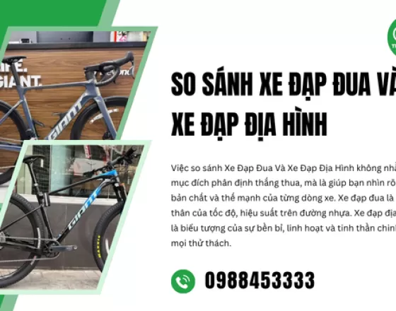 So Sánh Xe Đạp Đua Và Xe Đạp Địa Hình