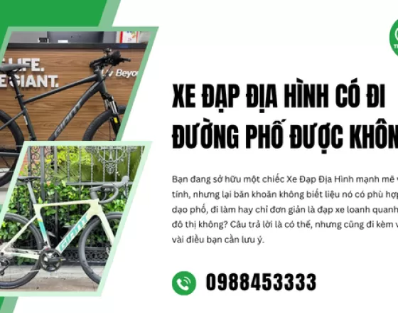 Xe Đạp Địa Hình Có Đi Đường Phố Được Không?