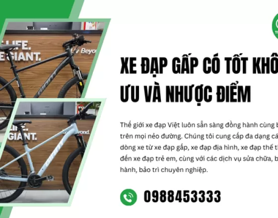 Xe Đạp Gấp Có Tốt Không? Ưu Và Nhược Điểm