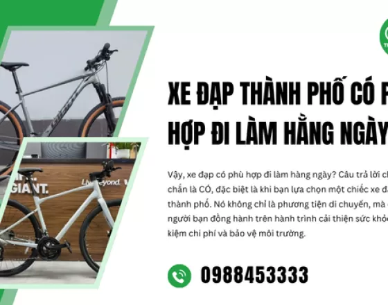 Xe Đạp Thành Phố Có Phù Hợp Đi Làm Hằng Ngày?